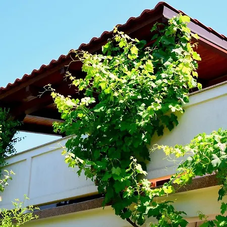 Apartment Villy