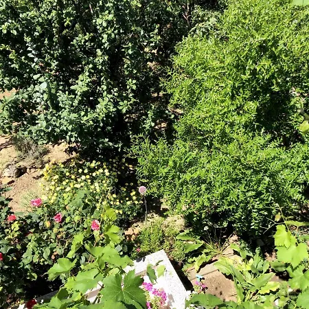 Villy Apartman